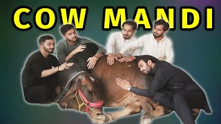 Cow mandi 2021 l Peshori vines [upl. by Eseuqram]