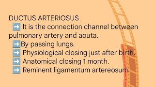 DUCTUS ARTERIOSUSDUCTUS VENOSUS FORAMEN OVALE [upl. by Nowaj522]