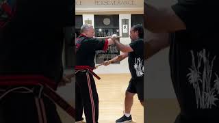 Double ZeroAbanico combination martialarts fma eskrimador modernarnis filipinomartialarts [upl. by Mcmillan451]