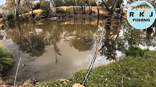 Bait Fishing the Loddon River and Campaspe River [upl. by Parlin76]