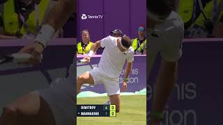 Dimitrov Winner From The Floor 🤯 [upl. by Dolley]