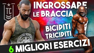 COME allenare BICIPITI e TRICIPITI  I 6 MIGLIORI esercizi per le braccia ▶️ [upl. by Bael]