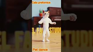 Arabic song catdance catdancer ytshorts catsmoves [upl. by Dnalevets437]