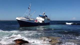 Shipwreck  Grounded Ship at Cronulla Point near Shark Island back in 2013 [upl. by Guido504]