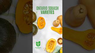 Squash Varieties loveONfood [upl. by Ceporah]