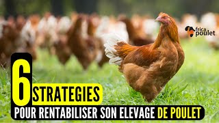 6 STRATEGIES que tu dois utiliser pour RENTABILISER ton élevage de poulet  investir en élevage [upl. by Nnylyrehc]