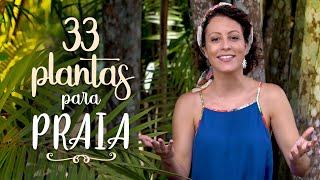 33 PLANTAS de SOL e PRAIA [upl. by Rochelle]