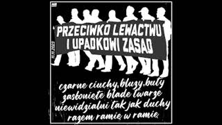 WUEM TPN  Przeciwko lewactwu i upadkowi zasad REUPLOAD [upl. by Siulegroj]