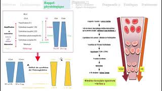 Hemato 02Anémie ferriprive avec cas cliniques Dr Abbadi [upl. by Carolyne453]