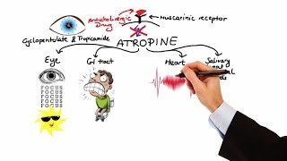 Pharmacology  ANTICHOLINERGIC amp NEUROMUSCULAR BLOCKING AGENTS MADE EASY [upl. by Tnerb]