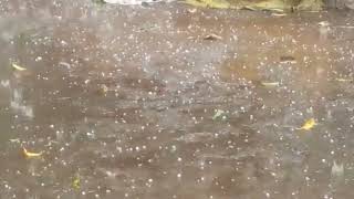 Blantyre Malawi  October Ice Pelletball rain [upl. by Ognimod]