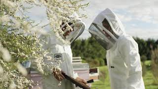 Comvita Beekeeping and Stewardship [upl. by Justicz]