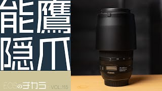 EF70300mm F456 IS Ⅱ USM実写！【EOSのチカラvol115】 [upl. by Desma]