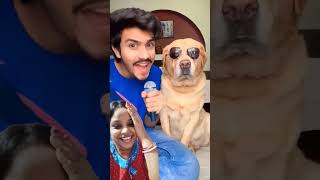 Suno gor se Pepsi walo 😂 comedy dog funny youtubeshorts cute shortvideo [upl. by Freemon]