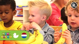 FRUITLIED  Kinderliedjes  Kinderdagverblijf  Minidisco [upl. by Ranna784]