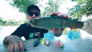 best swimbaits for beginners [upl. by Heinrik]