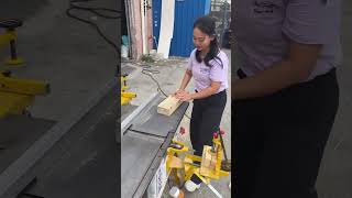 ai automobile machinary animals electrician machine construction excavator build sewing [upl. by Leizahaj]