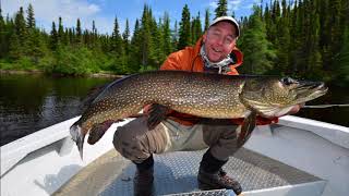 So many big pike in Mistassini Lake Quebec [upl. by Fronniah634]