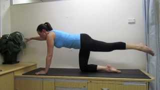 Proalign Pilates exercises  Four Point Kneeling [upl. by Oah]