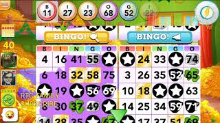 bingo blitz daub alert issues Lennys Luck Room [upl. by Hallutama578]