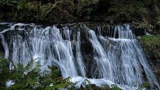 Karuizawa 輕井澤｜Shiraito Falls 白糸の滝 ｜Japan [upl. by Sucramel]