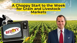 A Choppy Start to the Week for Grain and Livestock Markets [upl. by Huppert]