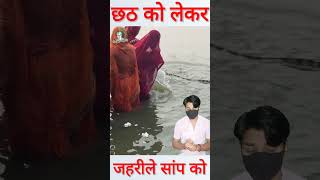 छठ पूजा के दौरान जहरीले सांप को सामने देखकर shorts chhathpuja [upl. by Teahan]