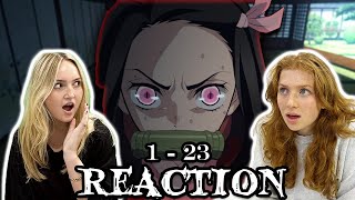 Demon Slayer 1x23 REACTION  quotHashira Meetingquot [upl. by Iveson]