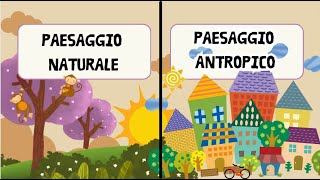 IL PAESAGGIO NATURALE E ANTROPICO  Geografia per i bambini  Maestra Emy [upl. by Burkhart]