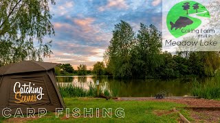 Coking Farm Fishery  Meadow Lake  Carp Fishing  Post Lockdown  Catching Scenes 010 [upl. by Ytima]