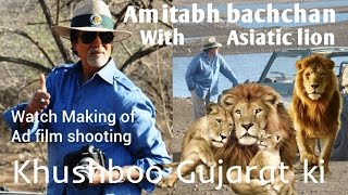 Watch Bollywood superstar Amitabh bachchans Encounter with Asiatic lion in Gir at film shooting [upl. by Itnava98]