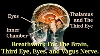 Breathwork For The Face Brain Neck Eyes 3rd Eye amp Vagus Nerve  Breathing with The Inner Chamber [upl. by Orlantha]