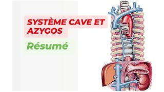 SYSTEME CAVE ET AZYGOS  Résumé [upl. by Eiramanel]