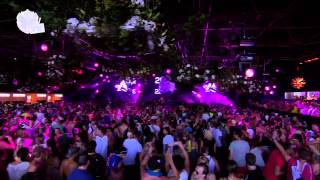 Afrojack  LIVE at Tomorrowland 29072013 [upl. by Riaj285]