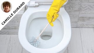 Découvrez 5 Astuces Efficaces pour Éliminer le Calcaire dans vos Toilettes [upl. by Montana954]