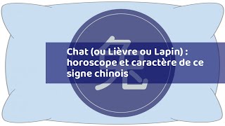 Chat ou Lièvre ou Lapin  horoscope et caractère de ce signe chinois [upl. by Yrolg]