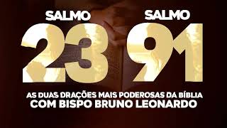 SALMO 91 E SALMO 23 AS ORAÇÕES MAIS PODEROSAS DA BÍBLIA [upl. by Yerd]