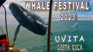 Uvita Whale Festival 2023 Parade activities whale watching [upl. by Llenod]