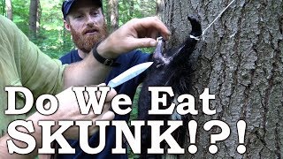 Do We Eat SKUNK  Weigh Out  The Wilderness Living Challenge 2017  S02E08 [upl. by Ahrat121]