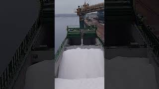 WISMAR GERMANYLoading of Road Salt youtubeshorts [upl. by Neri]