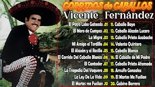 🔥🔥VICENTE FERNANDEZ CORRIDOS DE CABALLOS MIX🔥🔥PURAS PARA PISTEAR SELECCIÓNADAS VICENTE FERNÁNDEZ 🍻🍻 [upl. by Lindeberg]