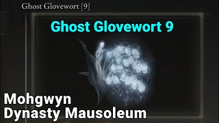 Ghost Glovewort 9 Location  Mohgwyn Dynasty Mausoleum  Elden Ring [upl. by Iadahs]