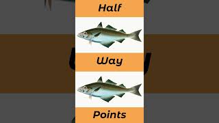 The Best Tides For Pollock In The UK And Europe seafishinguk [upl. by Nagad]