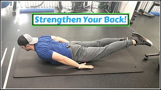 Beginner Low Back Exercises  Erector Spinae Strength [upl. by Sandra53]