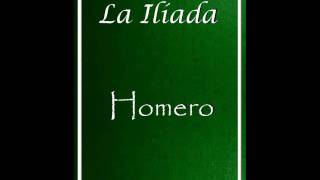 LA ILIADA  HOMERO AUDIOLIBRO COMPLETO CANTO 124 [upl. by Matrona]