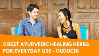 5 Best Ayurvedic Healing Herbs for Everyday Use  Guduchi 35 [upl. by Ewald380]