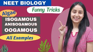 Funny Tricks to Learn Isogamous Anisogamous Oogamous Examples  NEET BIOLOGY [upl. by Kire516]