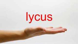 How to Pronounce lycus  American English [upl. by Naimaj]