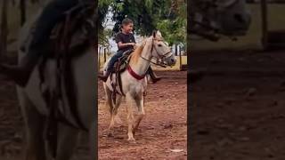 O menino e seu cavalo manga larga cavalocavalomarchador mangalargamarchador [upl. by Balduin]