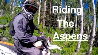 Riding the Aspens  KTM 300 Episode 146 [upl. by Suilmann]